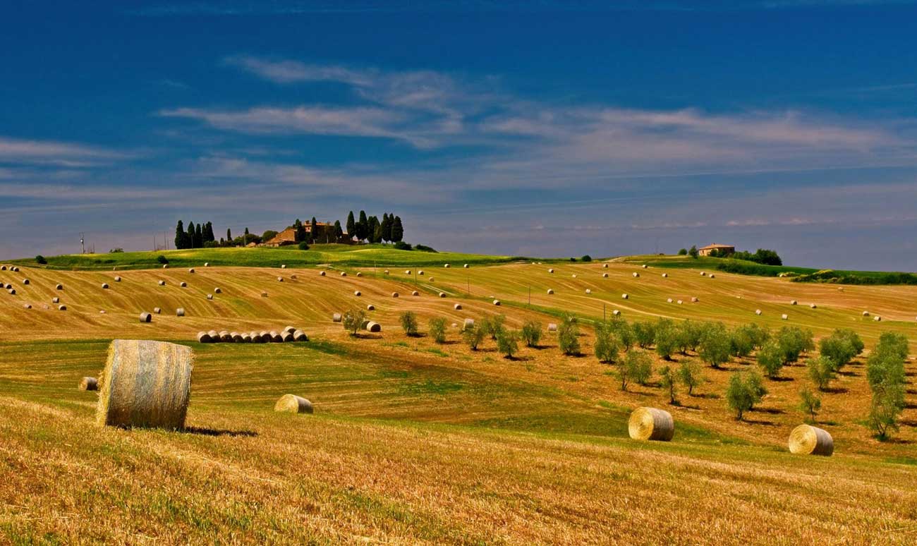 Investicijski krediti za ruralni razvoj