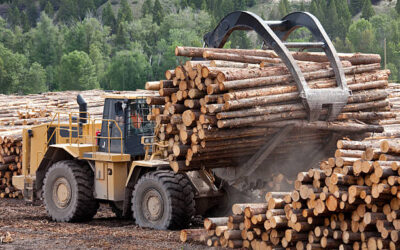 73.06. Modernizacija šumarskih tehnologija u pridobivanju drva, šumskouzgojnim radovima i …